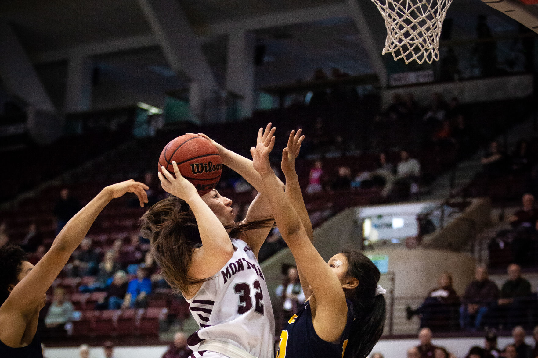 Lady Griz V Northern Colorado 1